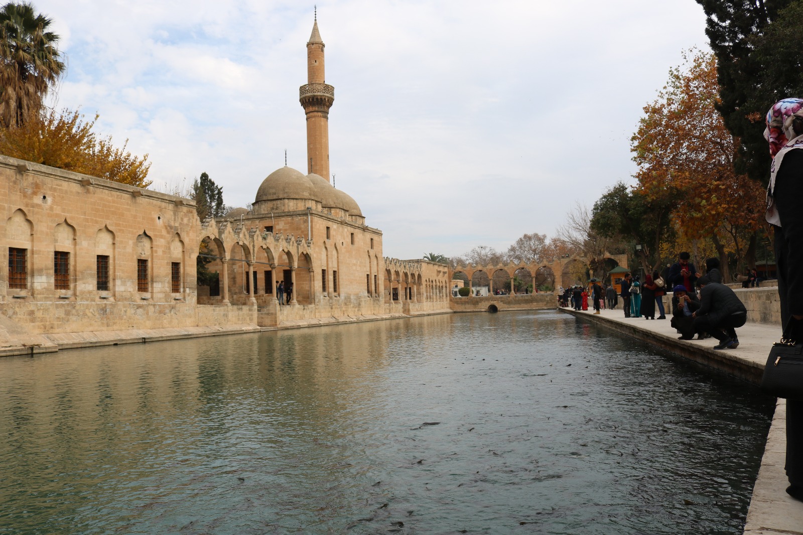 Fotoğraflarla Balıklıgöl (Gola Masiya)